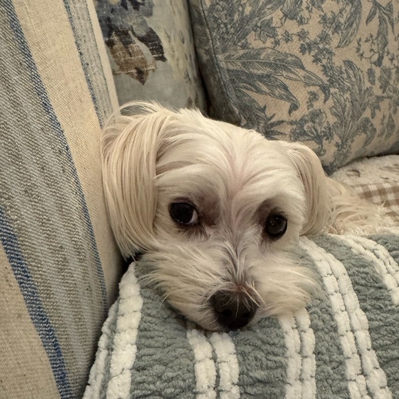 1-50 Unlisted Items TYSM 🩵 - Picture 2 of 2